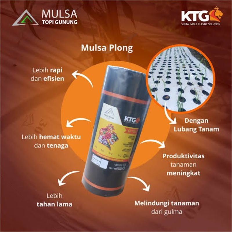 Plastik Mulsa TOPI GUNUNG Kuning 35 Hitam Perak Ukuran 60Cm - 220Meter KTG