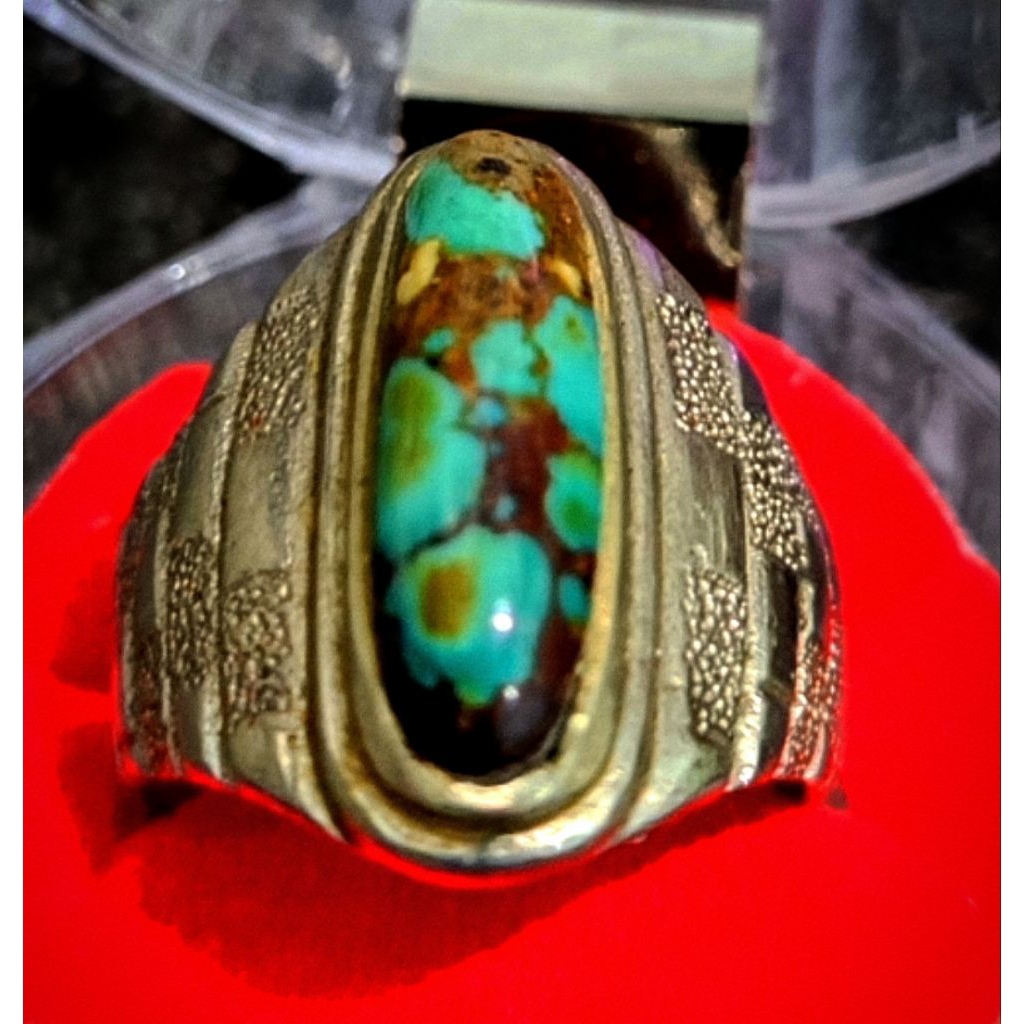 pirus persia ceplok kuro