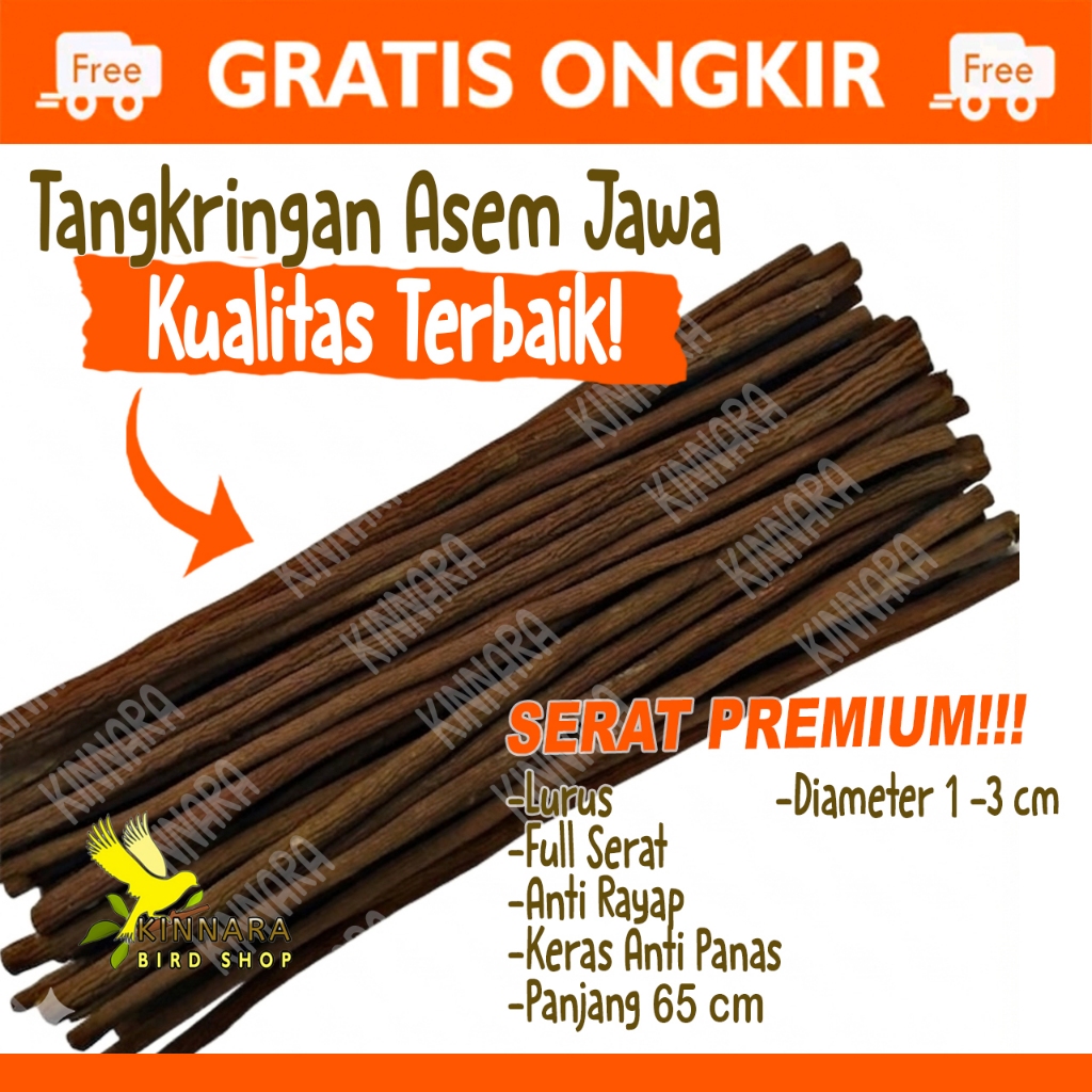 KINNARA Tangkringan Kayu Asem Jawa Premium Cocok Untuk Murai, Kacer dan Kenari, Bahan Kayu Pilihan d