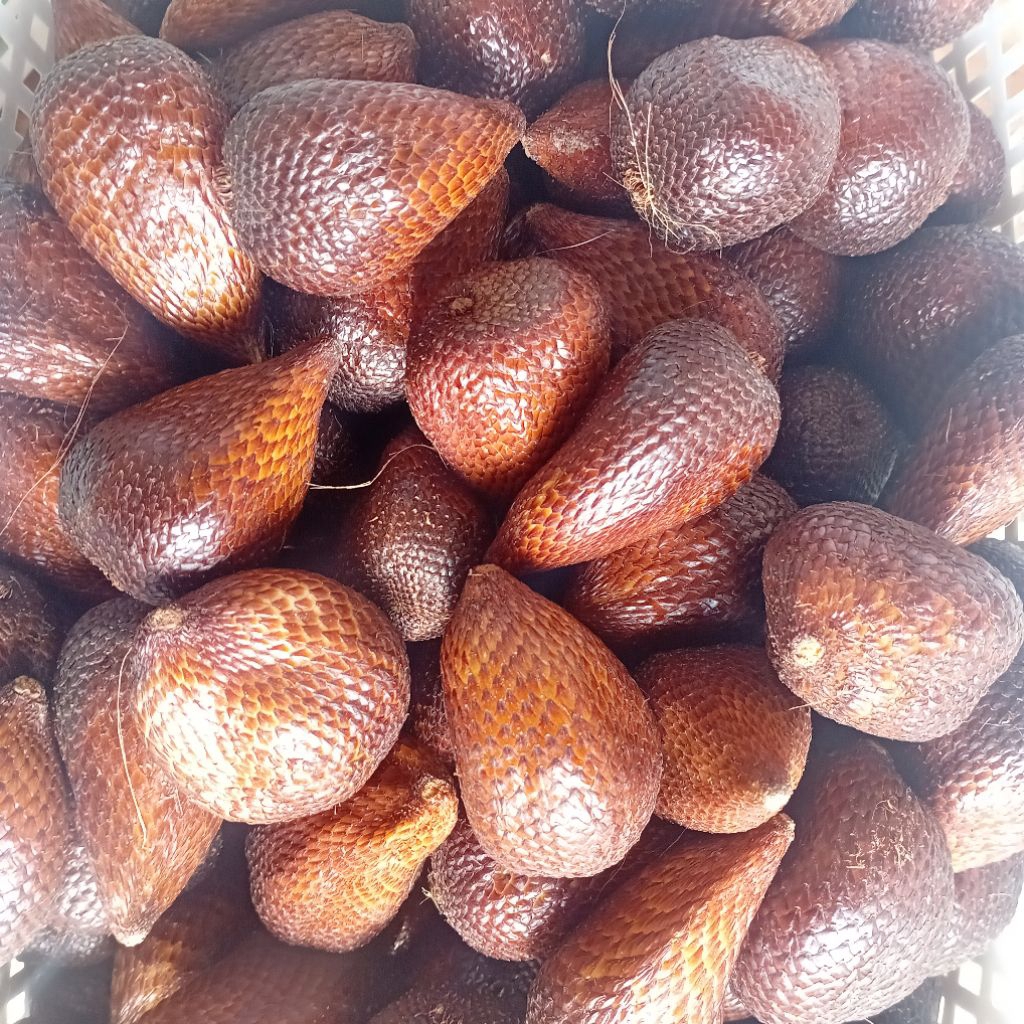 [Instant Medan] Salak Pondoh Tigajuhar, Manis, 1 kg | Buakita