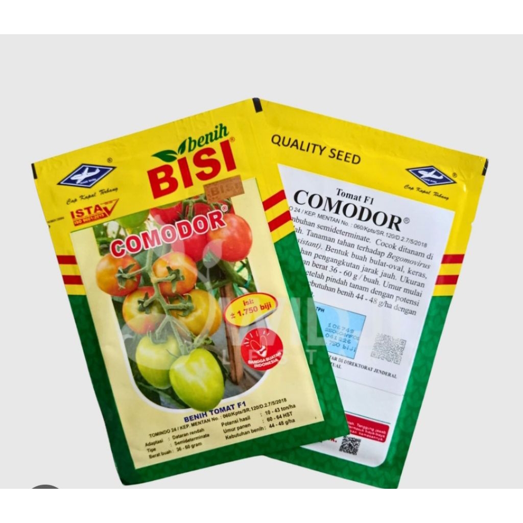 benih tomat COMODOR