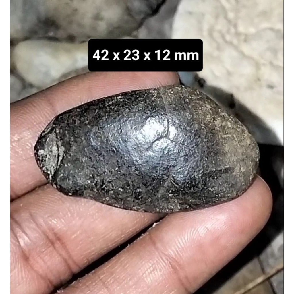 Batu akik Kijing Bungkem jumbo asli alam