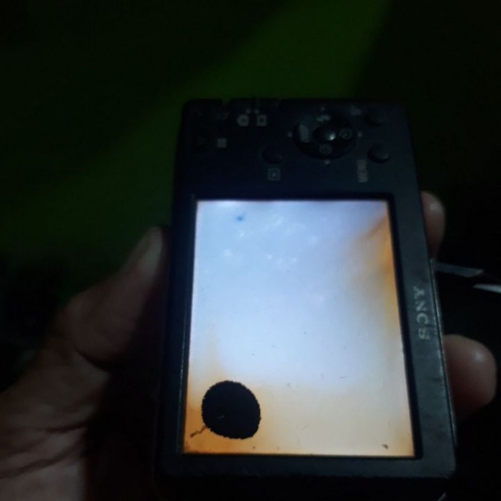 Kamera Digital Sony Cyber-Shot DSC-W310