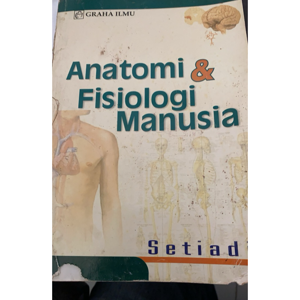 anatomi fisiologi manusia