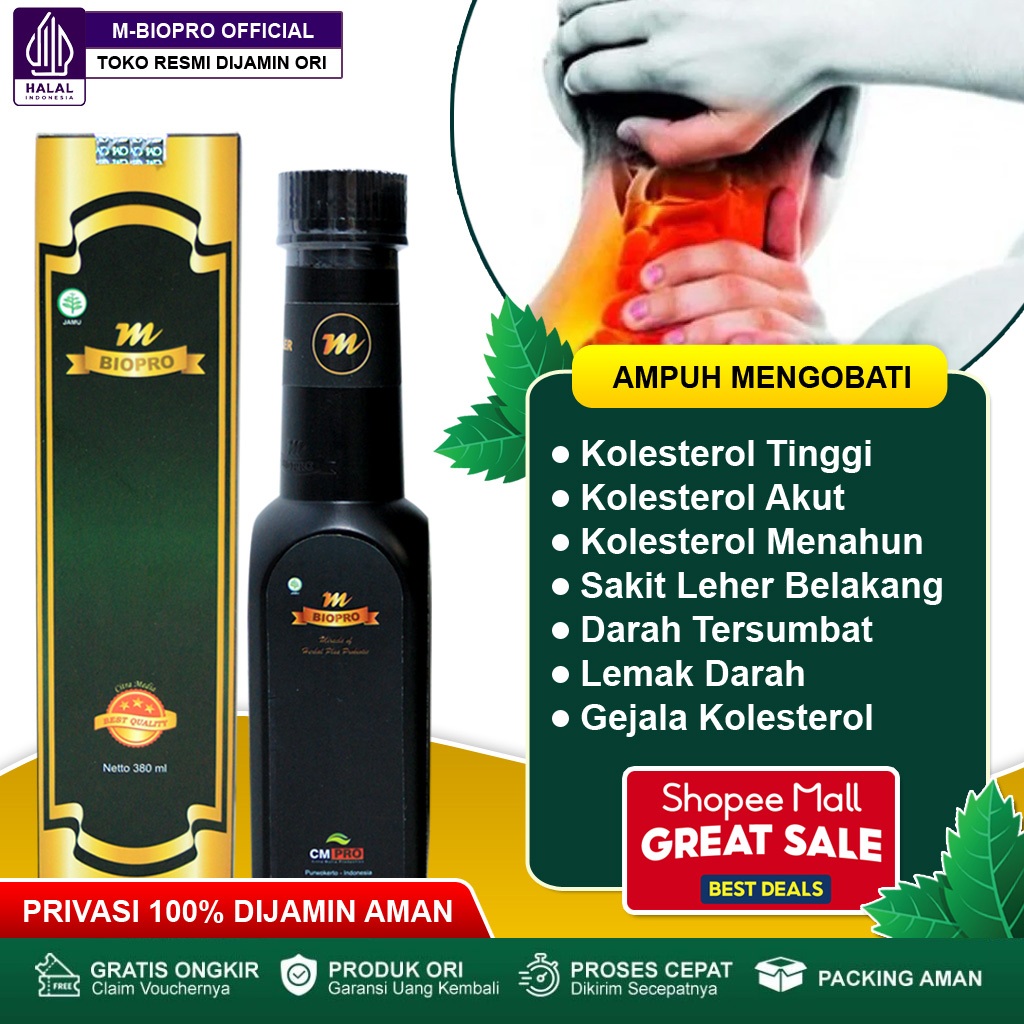 Obat Kolesterol Tinggi, LDL, LDH, Kolesterol Dan Darah Tinggi, Trigliserida, Herbal Kolesterol - Mbi