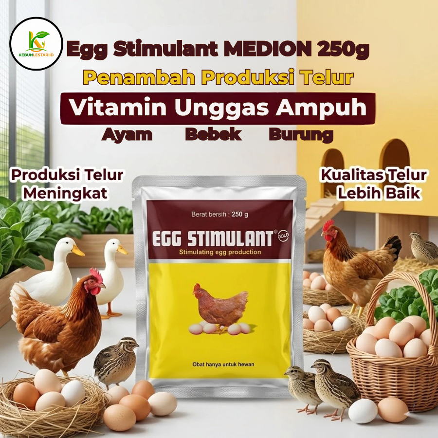 Egg Stimulant MEDION 250g – Vitamin Penambah Produksi Telur Ayam, Burung & Bebek, Suplemen Unggas Am