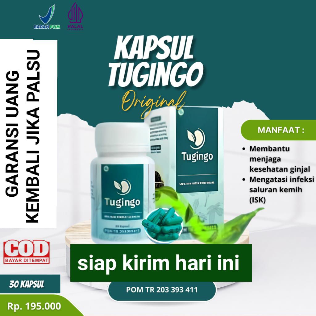 TUGINGO - Obat Batu Ginjal / Herbal Penyakit Ginjal Kronis / Gagal Ginjal / Infeksi Ginjal