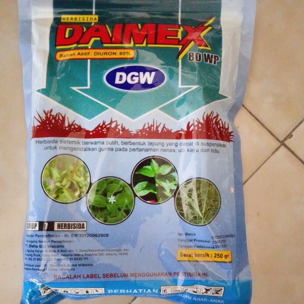 Daimex 80 Wp