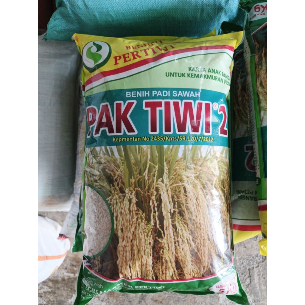 BENIH PADI PAK TIWI 2