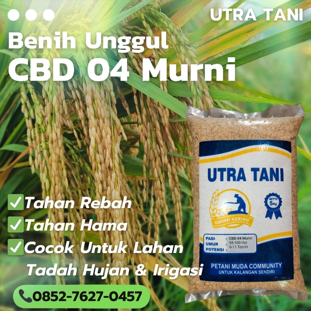 Benih Padi Unggul CBD 04 Murni 5Kg UTRA TANI