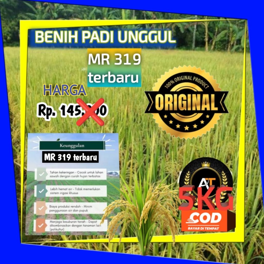 BENIH PADI MR 319 ORIGINAL / KEMASAN 5KG