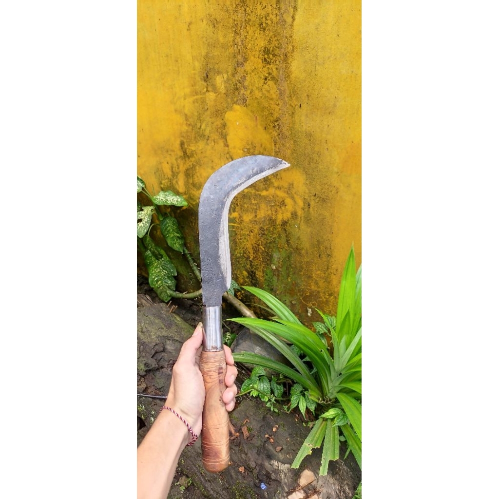 Arit Candung Full Baja asli Wonosobo/ Arit Ramban/ Arit Wonosobo