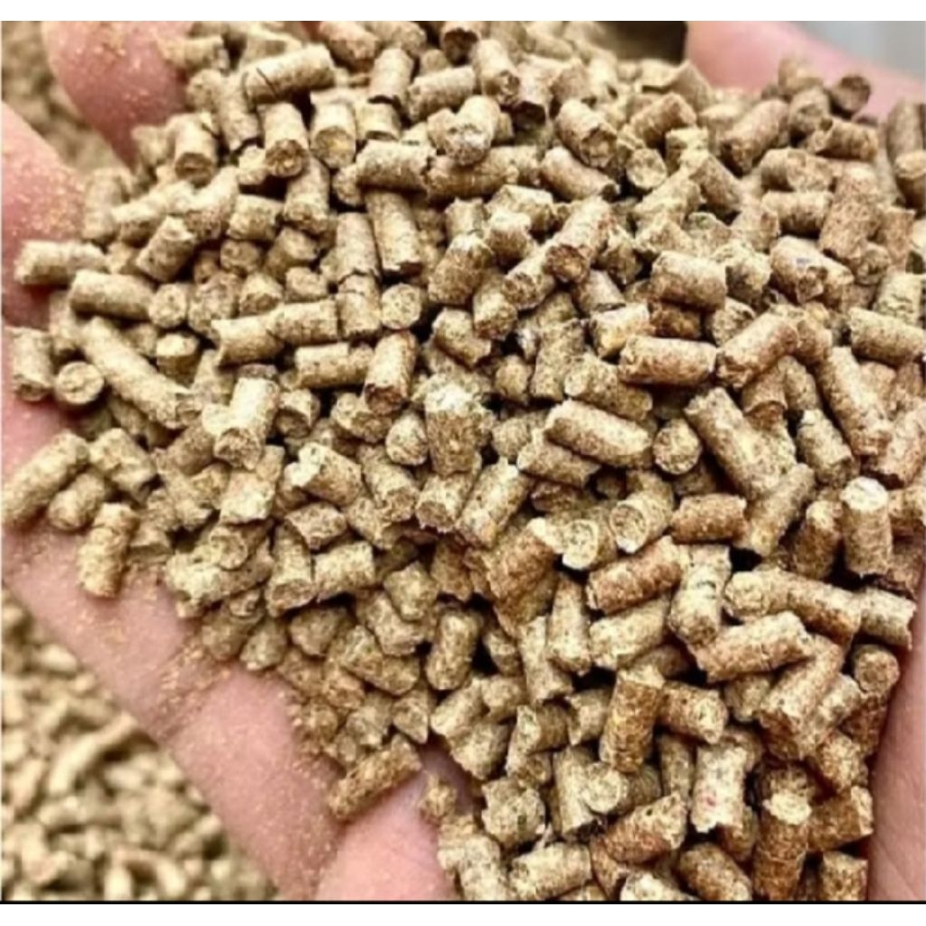 Pur babi bagus untuk Ayam Bangkok dan lain nya