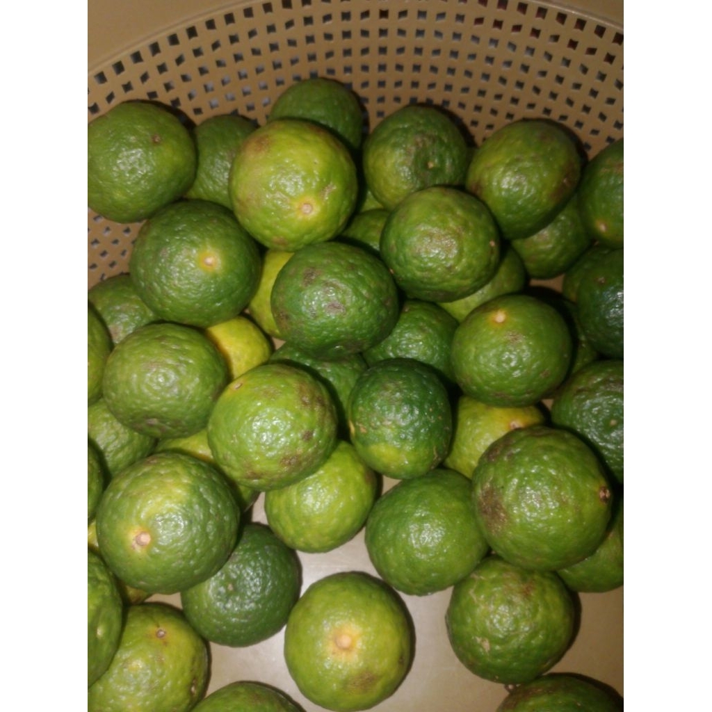 Jeruk limau 1 kg