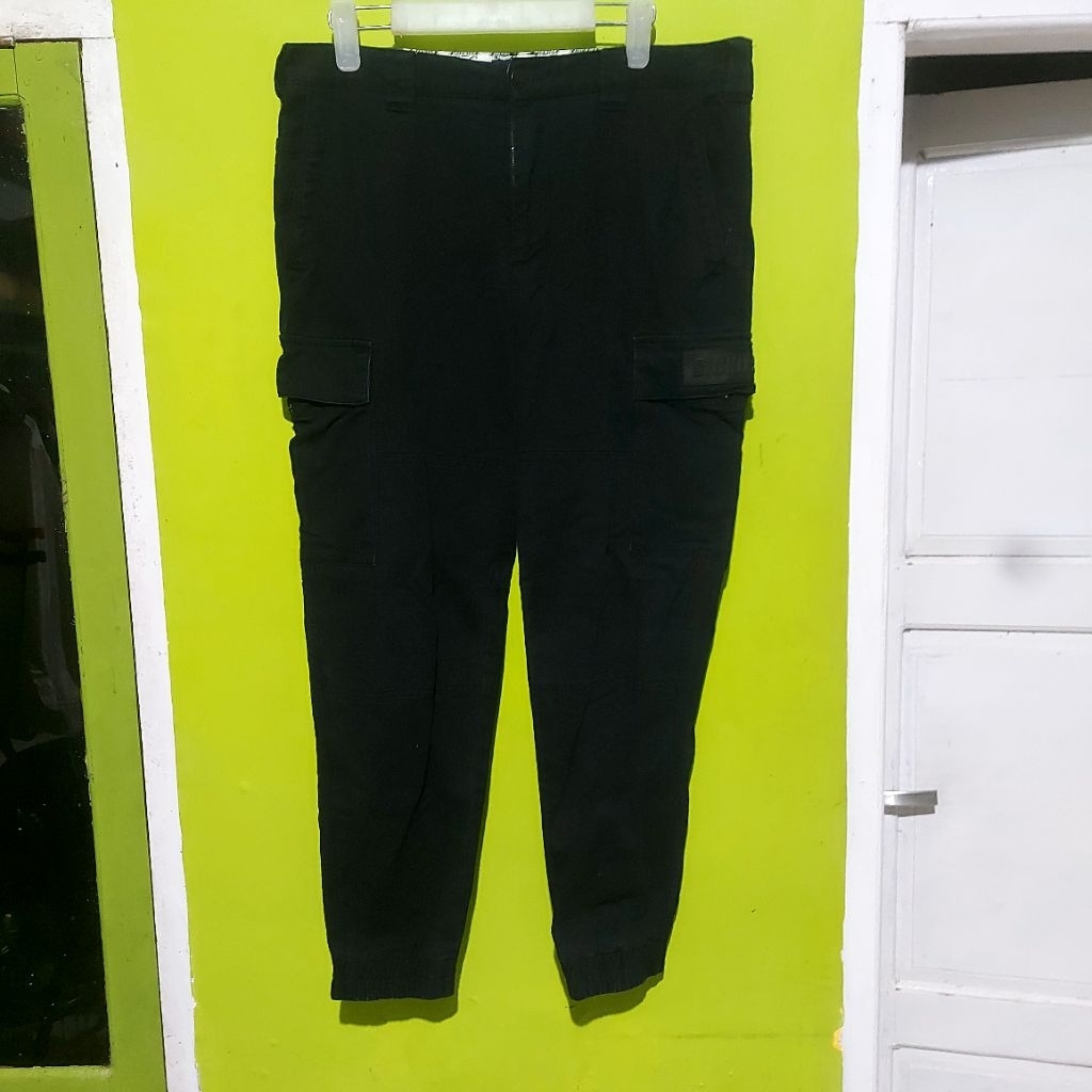 CARGO JOGER DICKIES