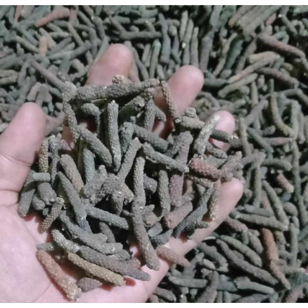 Cabe Jawa kering / Cabe Jamu 1 kg