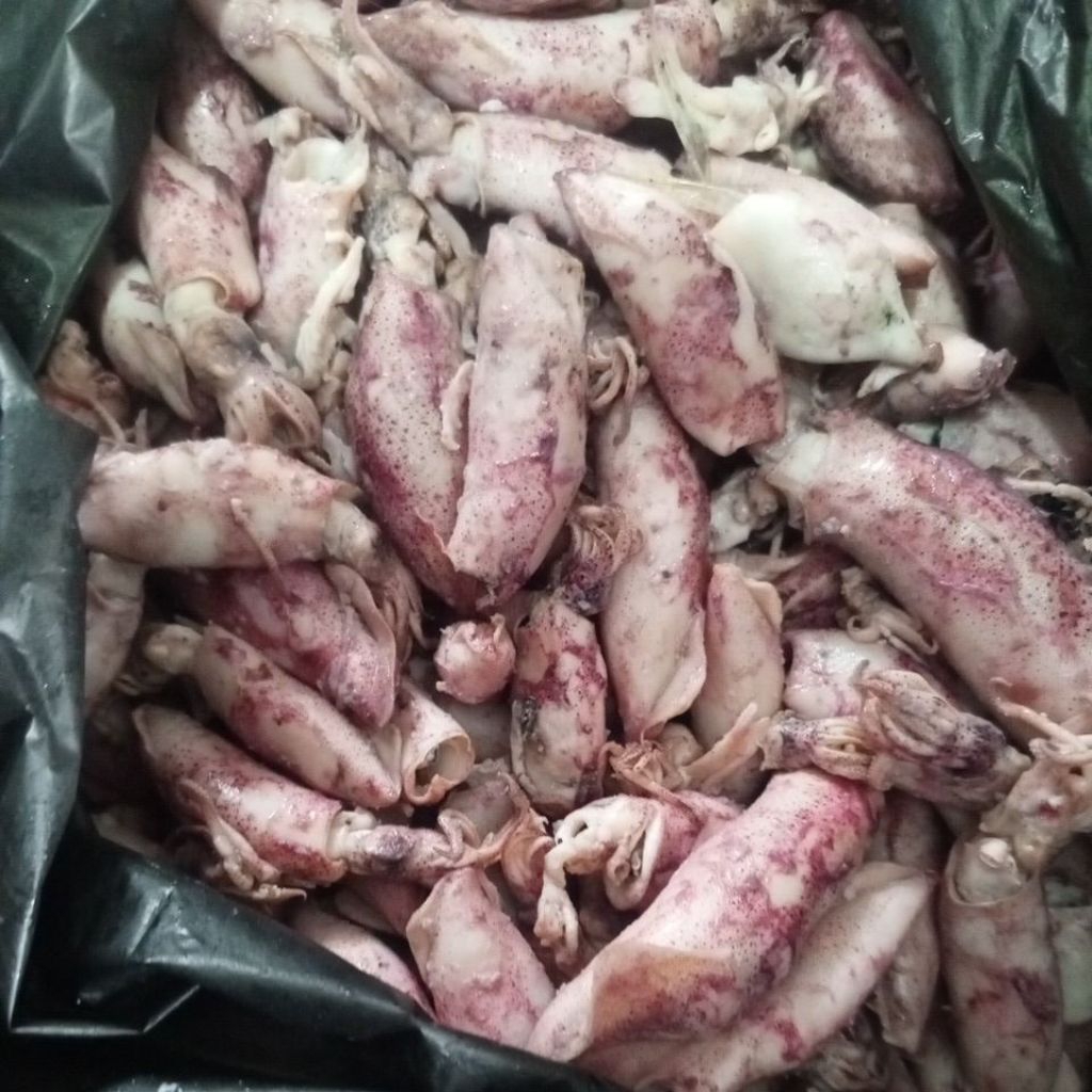 IKAN ASIN CUMI SOTONG