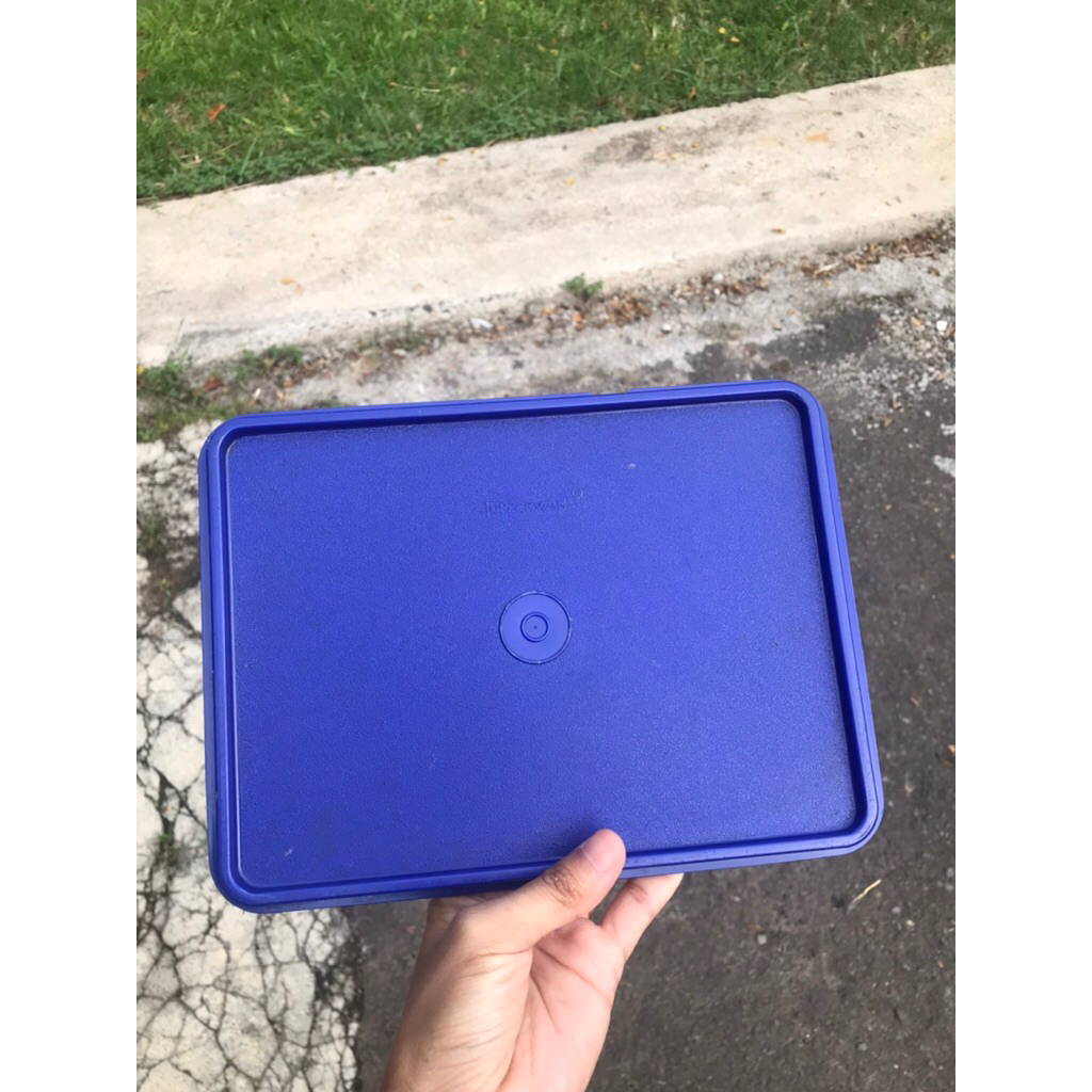 Tupperware Tutup Kotak Warna Biru Minus