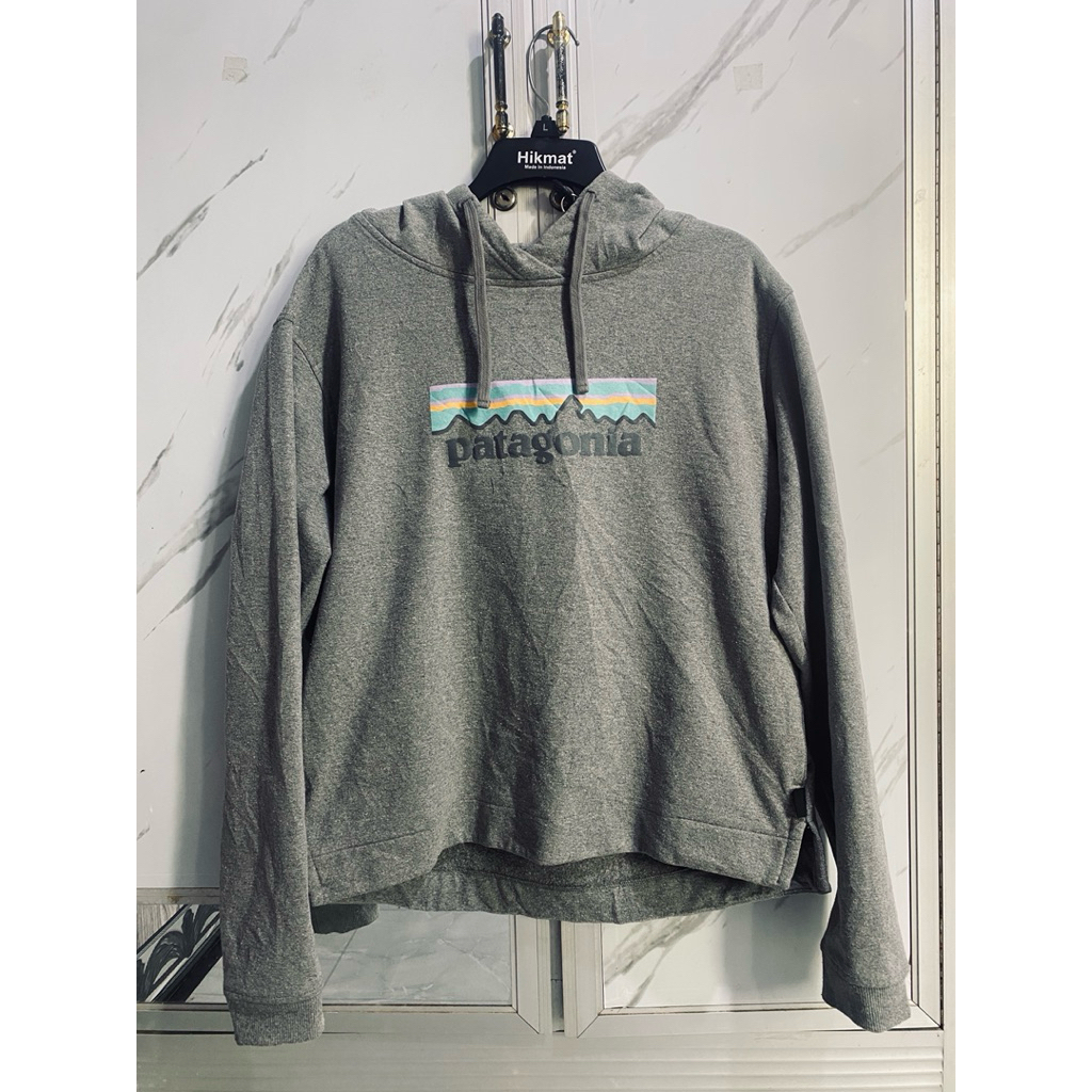 Hoodie Patagonia