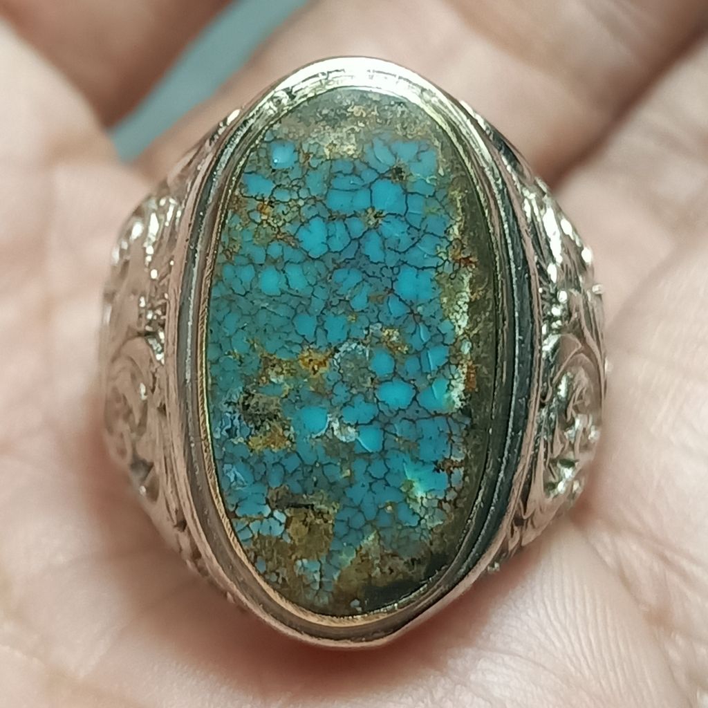 Pirus persia biru panci ceplok kuro