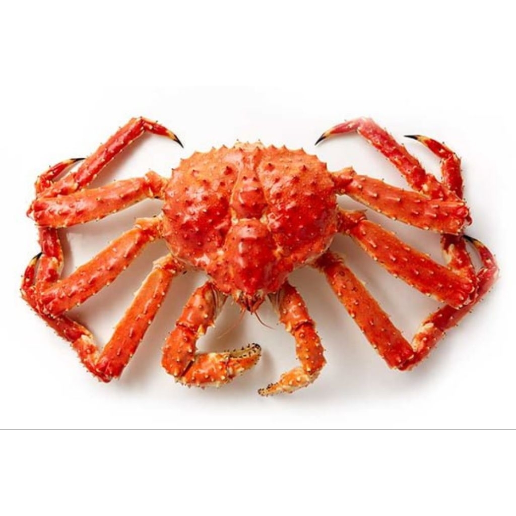 Kepiting Alaska Import