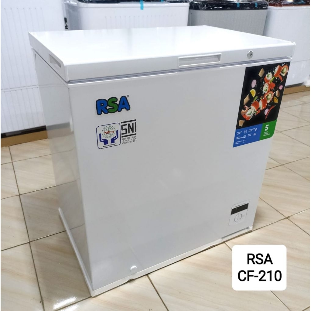 READY Freezer BOX RSA  200L