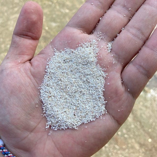 Biang Onggok Serah Ragi Tempe 5 KG