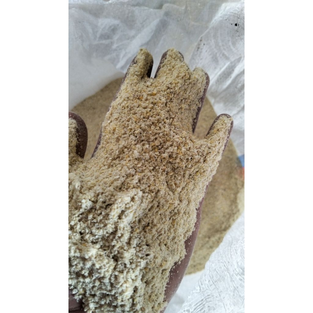 Tepung Jagung Murni Pakan Ternak