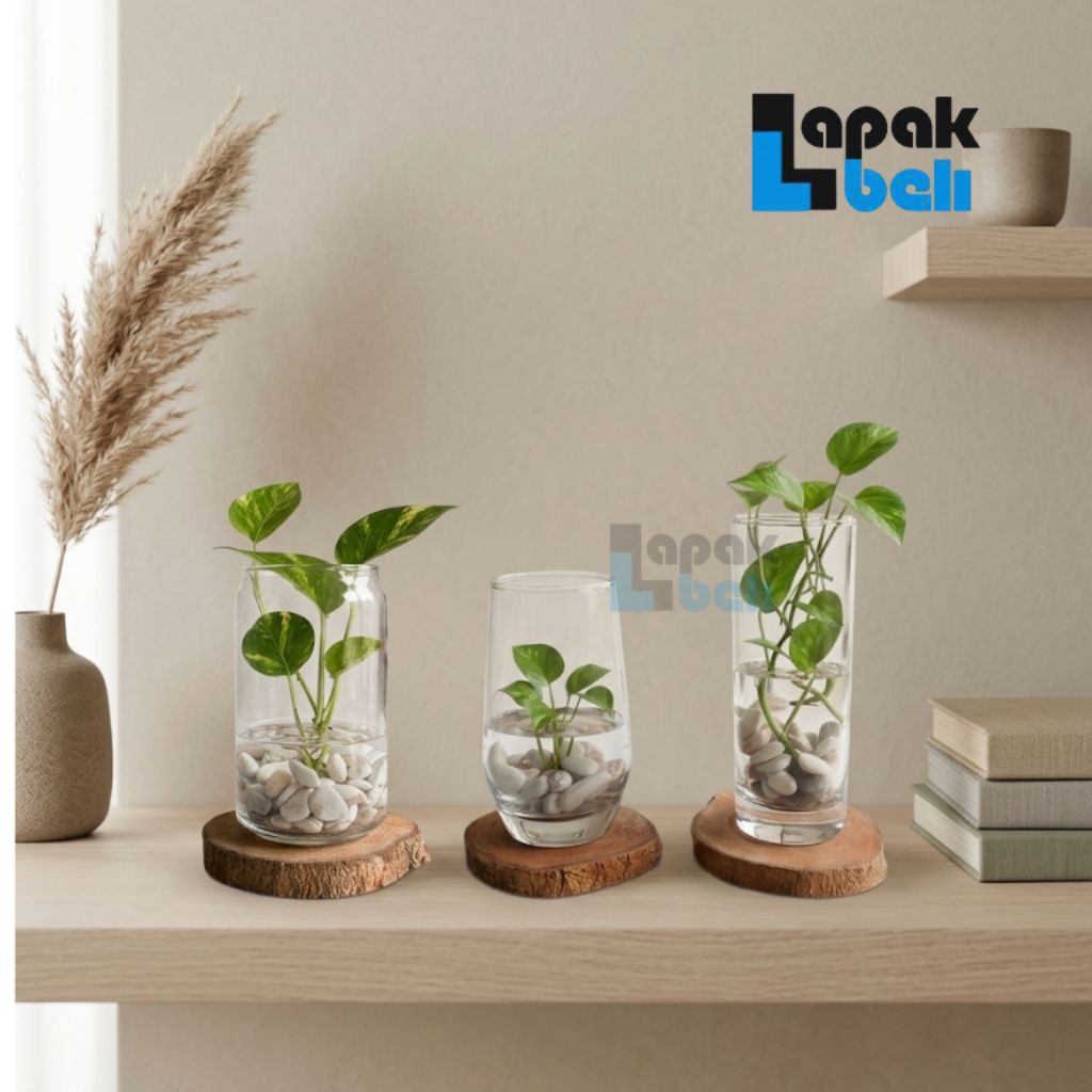 Vas Bunga Kaca / Vas Bunga Karaf / Vas Bunga Bening / Pot Tanaman Artifisial Hidroponik Estetik