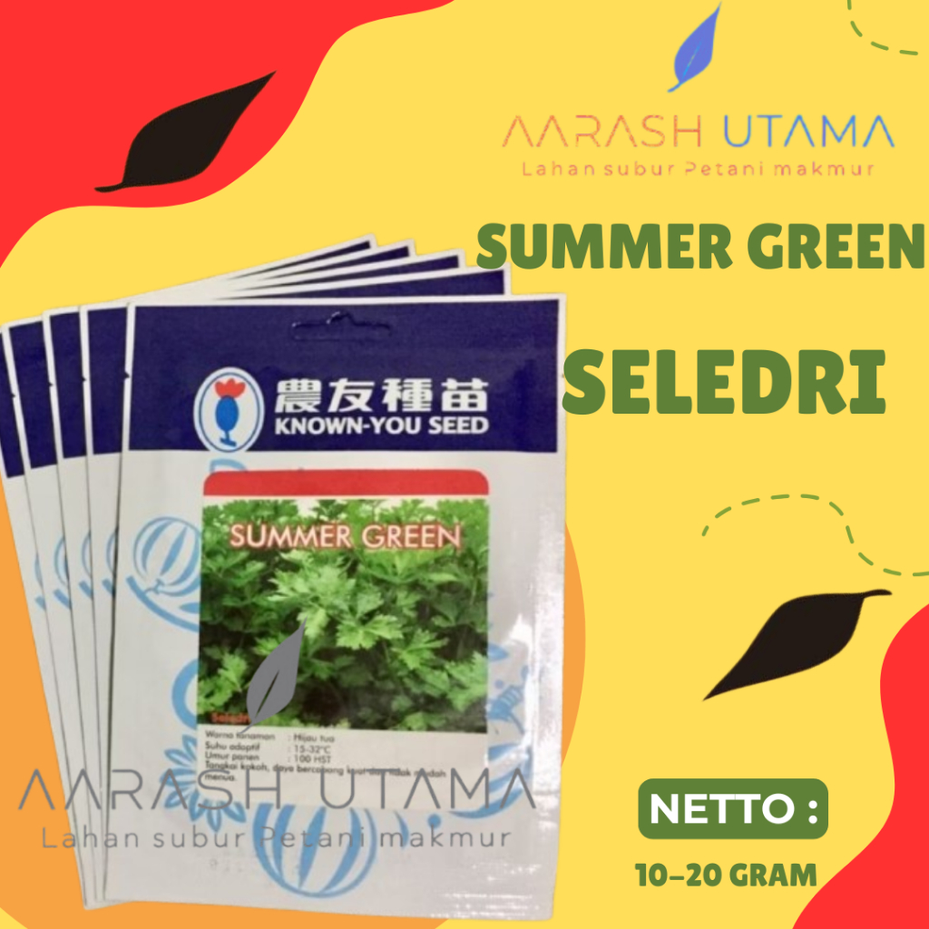 Benih Seledri SUMMER GREEN 10-20 gram Known You Seed - unggul hibrida kemasan packing asli original 