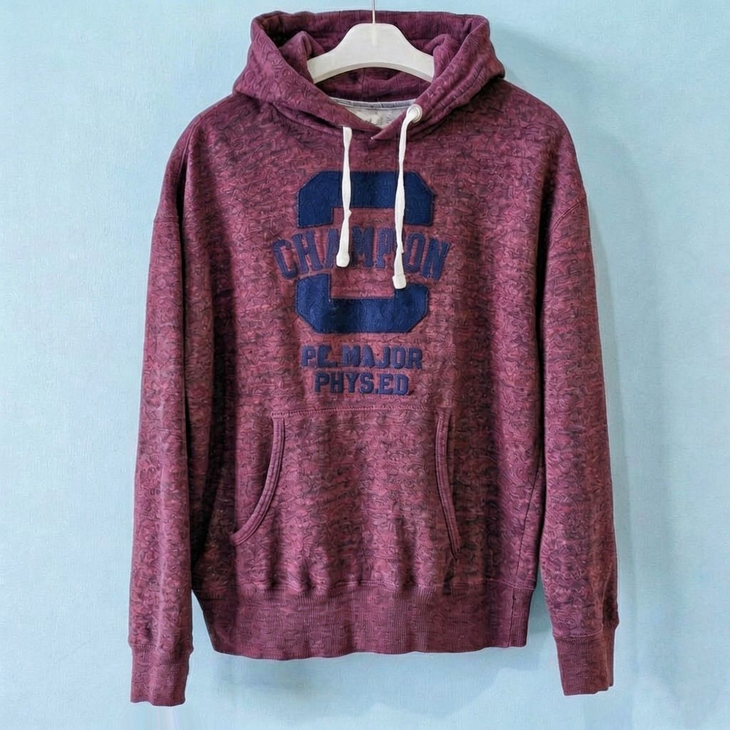 Hoodie  Champions