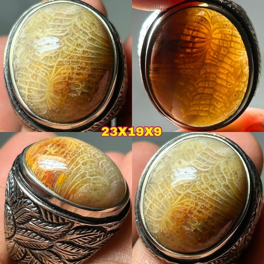NATURAL TERATAI LIPAN KUALITAS SUPER HQ