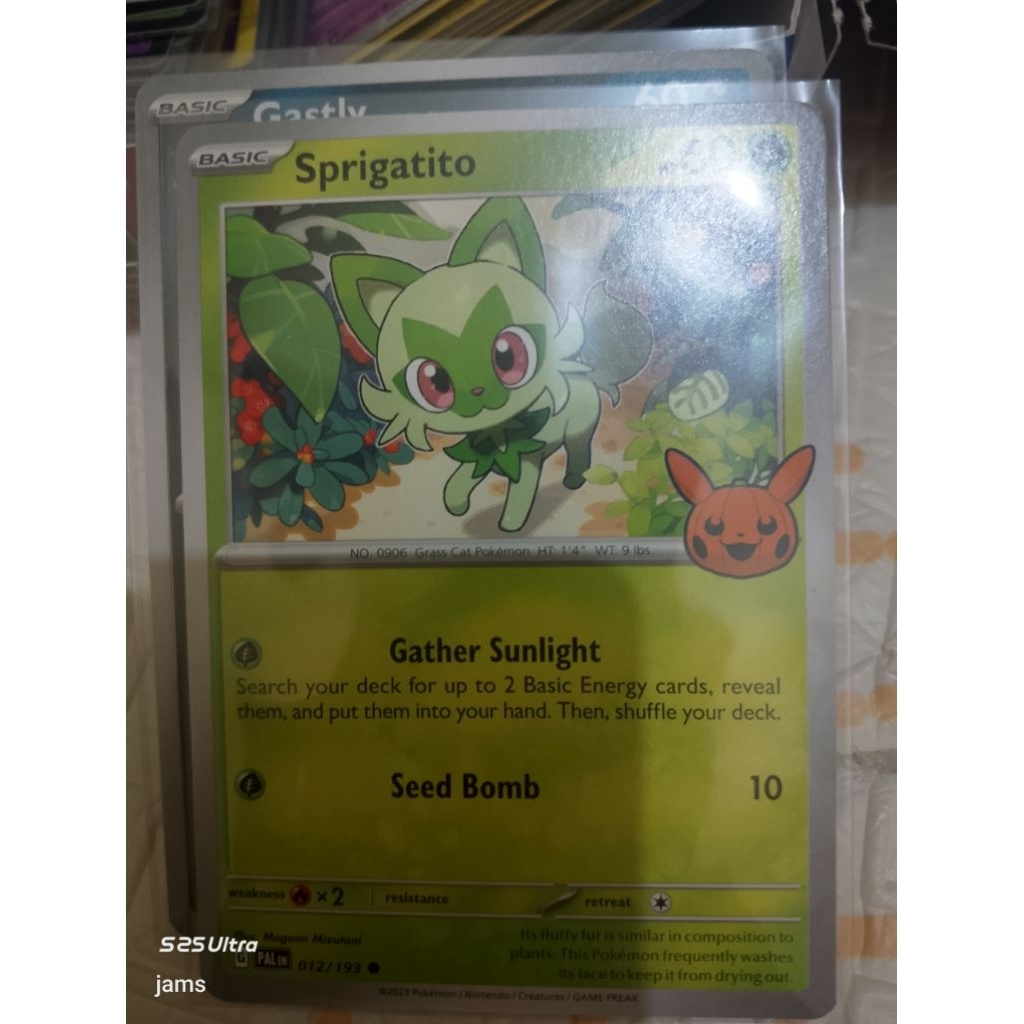 Pokemon Sprigatito trick or trade en