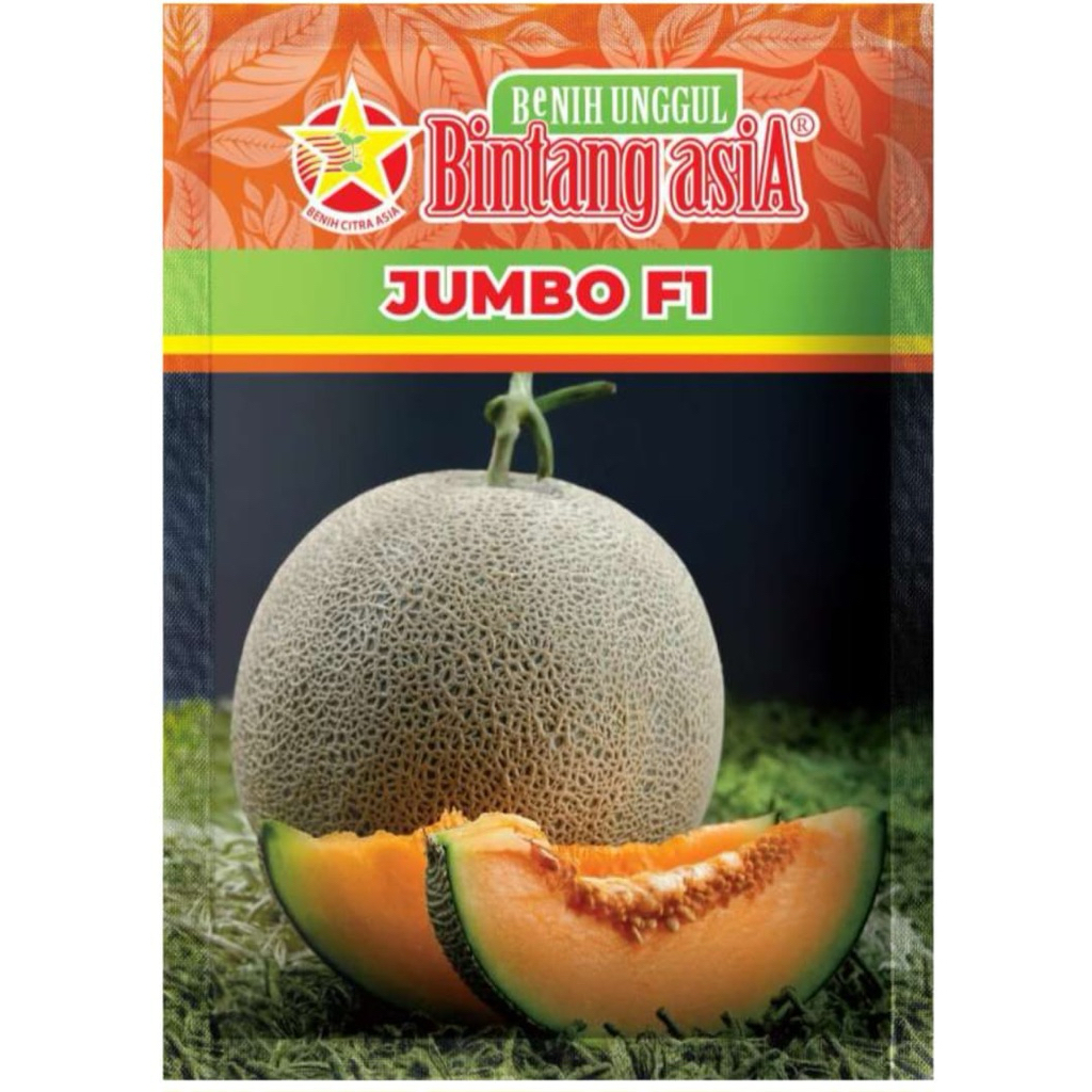 Benih Melon Kuning JUMBO F1 20Gram Bintang Asia