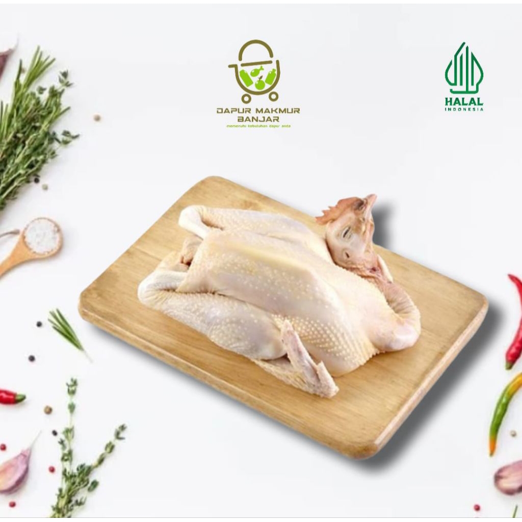 AYAM MERAH / AYAM PETELUR / PEREKOR