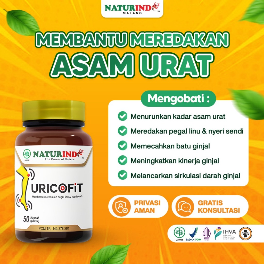 Obat Asam Urat dan Kolesterol Nyeri Sendi Obat Herbal Asam Urat Rematik Flu Tulang URICOFIT Naturind