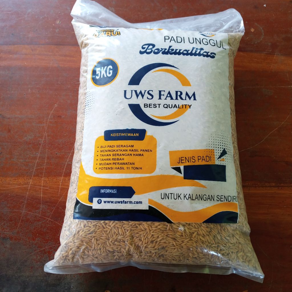 bibit padi pandan wangi berat 5kg
