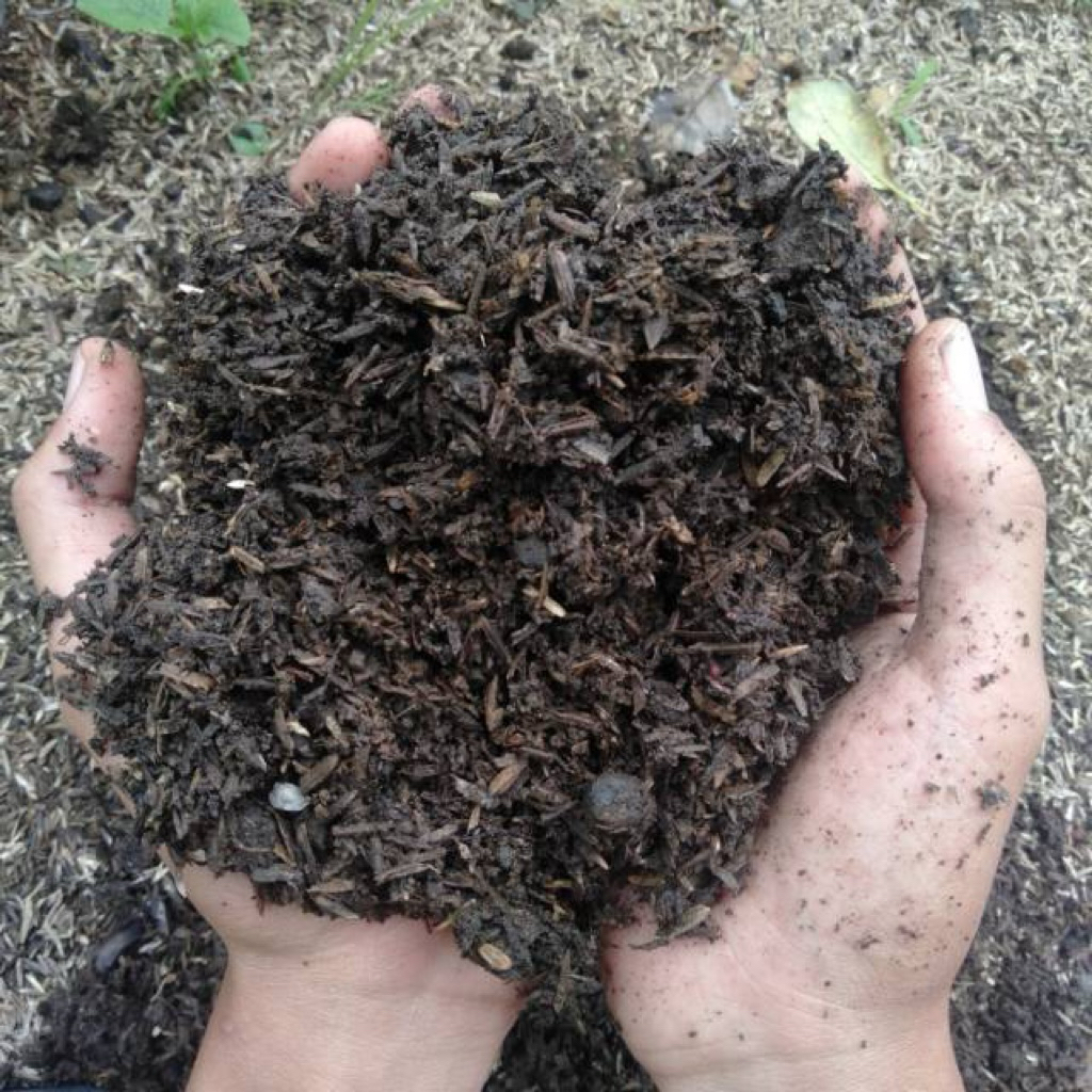 Pupuk Kompos Organik