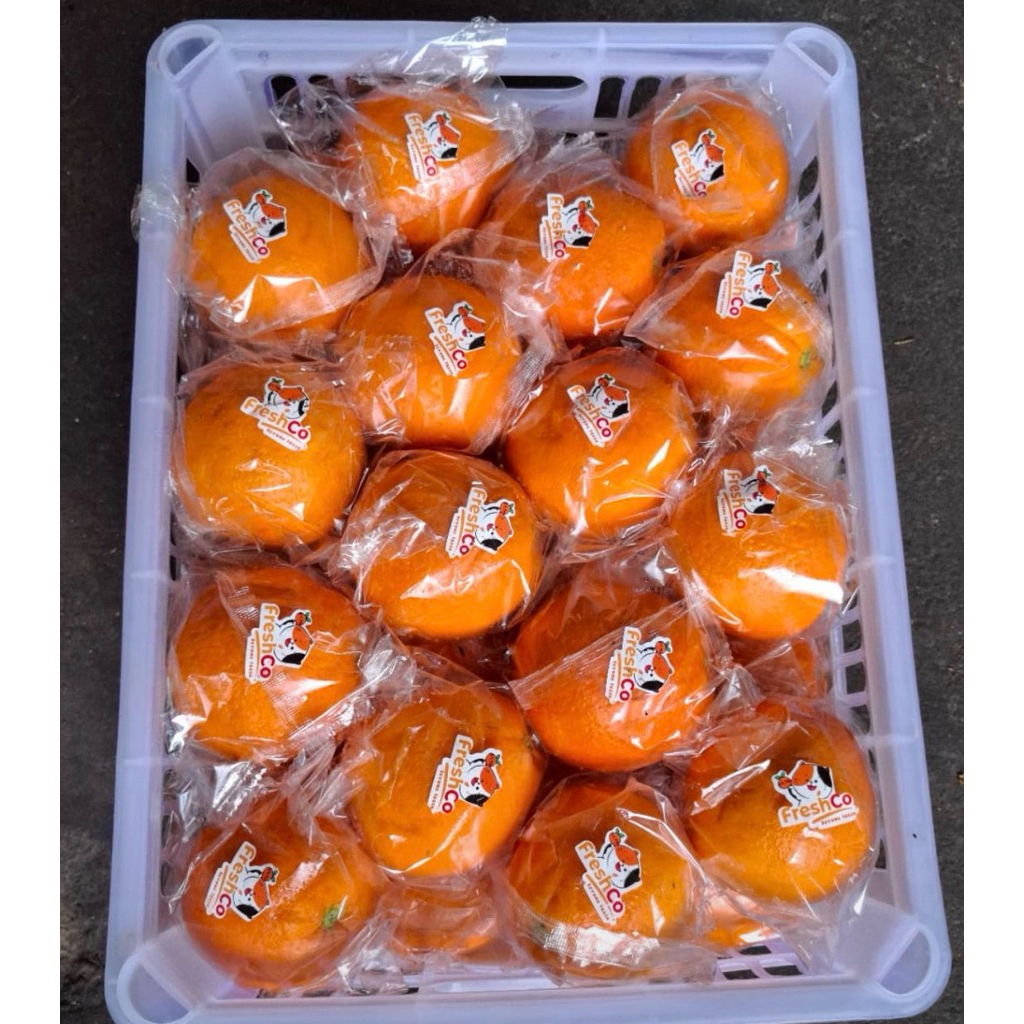 SUNKIST NAVEL FRESHCO