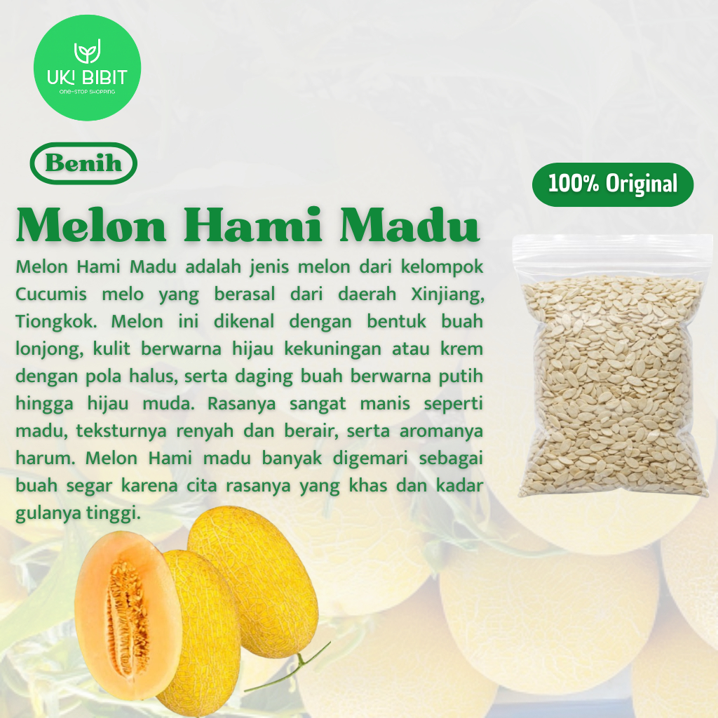 ( 5 Butir ) Benih Biji Melon Hami Madu | Melon Golden Sweet Hami