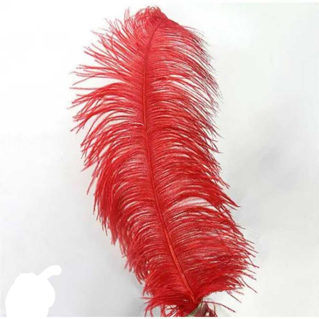 BULU HELAI 60CM/BULU OSTRICH PANJANG 60CM