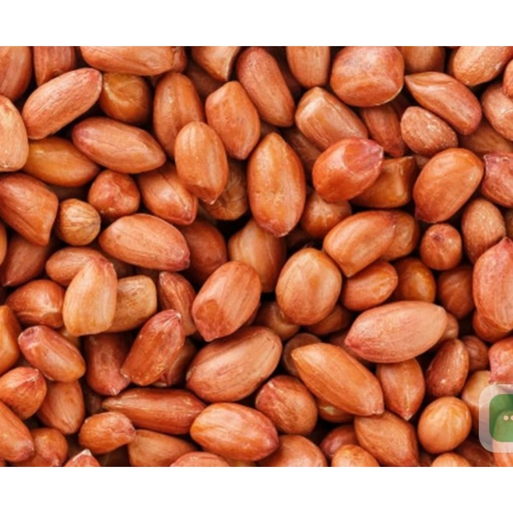 1 kg Kacang Tanah Giling Mentah Berkualitas Tinggi, Cocok untuk Bumbu Pecel