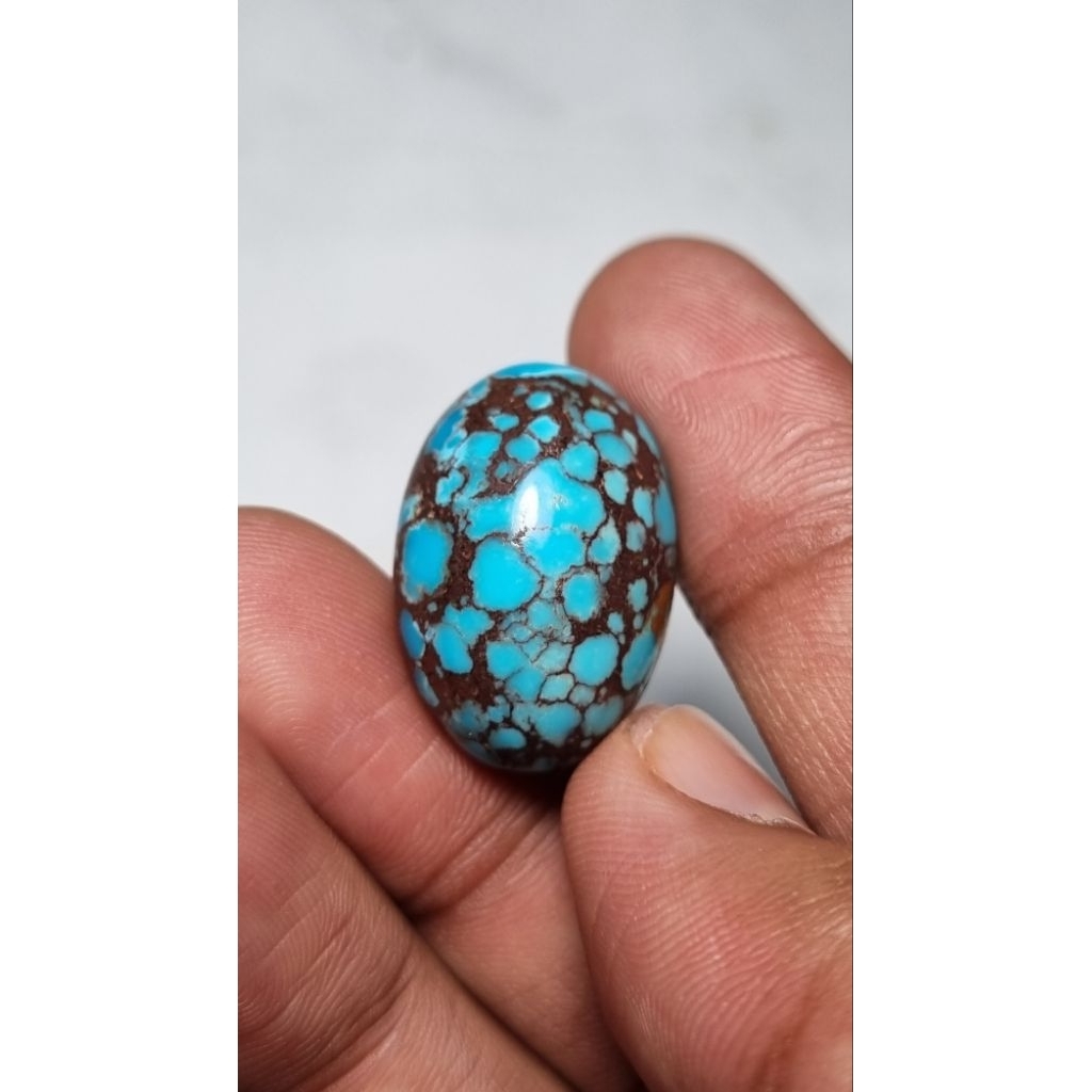 Natural pirus mesir