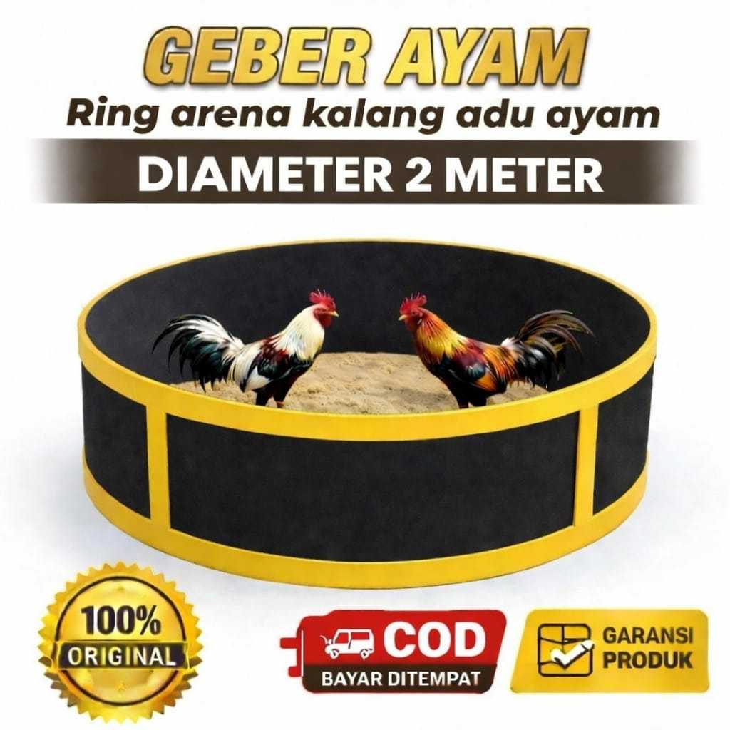 Geber ring tempat aduan ayam tebal 2 meter tebal 20mm ring adu ayam arena aduan kalang adu ayam lati