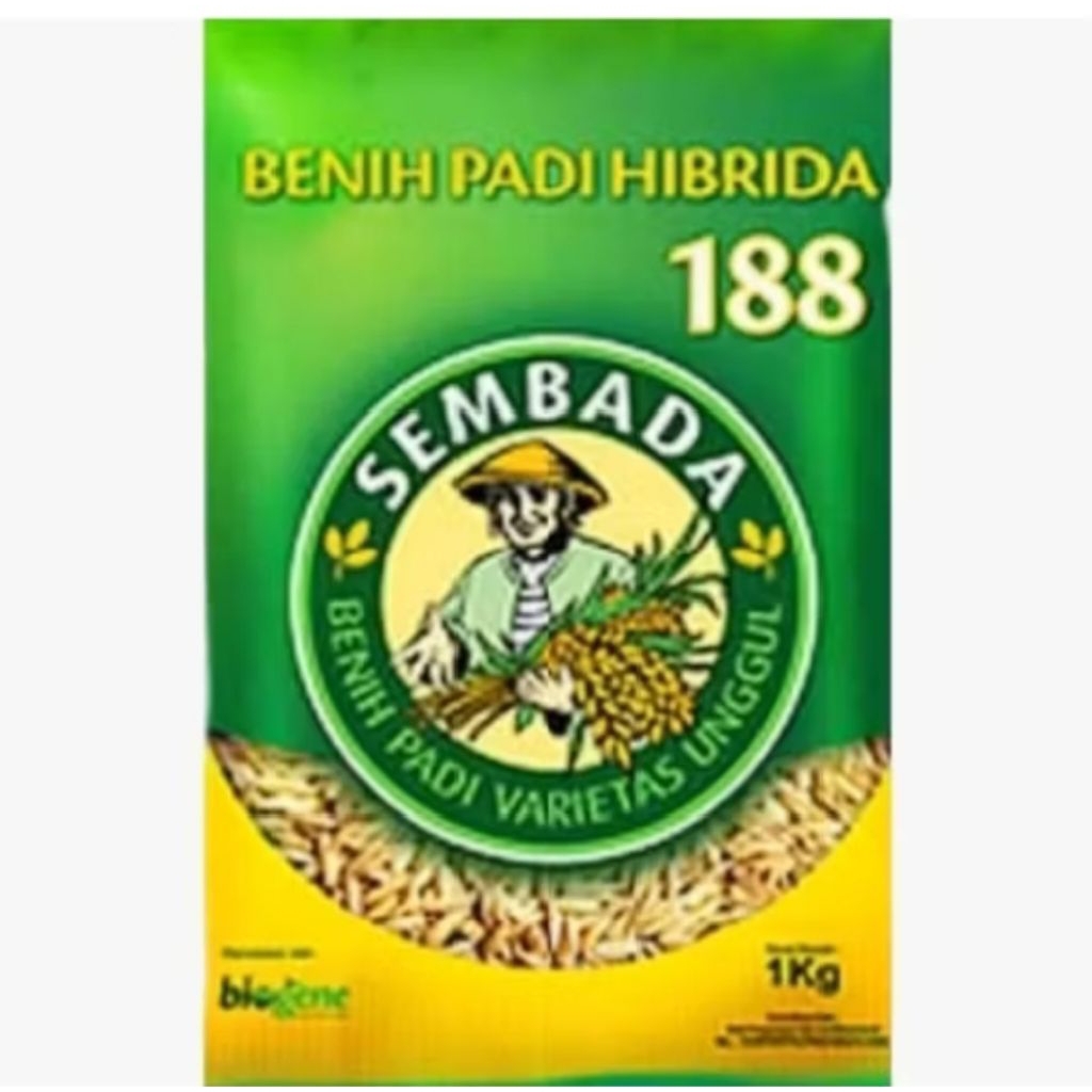 (1KG) BENIH PADI SEMBADA 188 ORIGINAL
