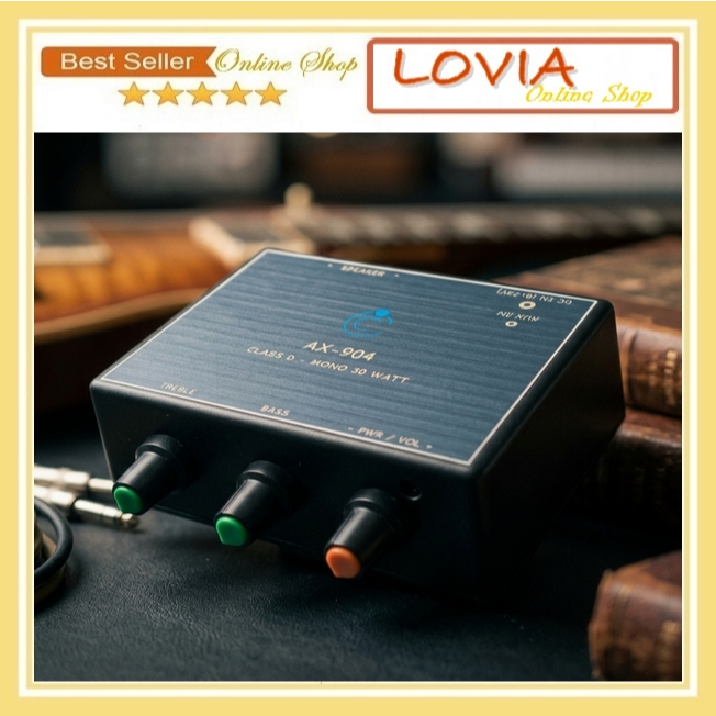 Amplifier Rakitan Class-D Mono 1 Channel 30 Watt Power Miniatur Siap Pakai AX-904