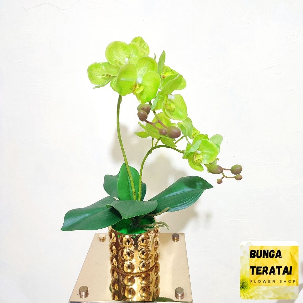 ANGGREK LATEX SP POT VAS KERAMIK