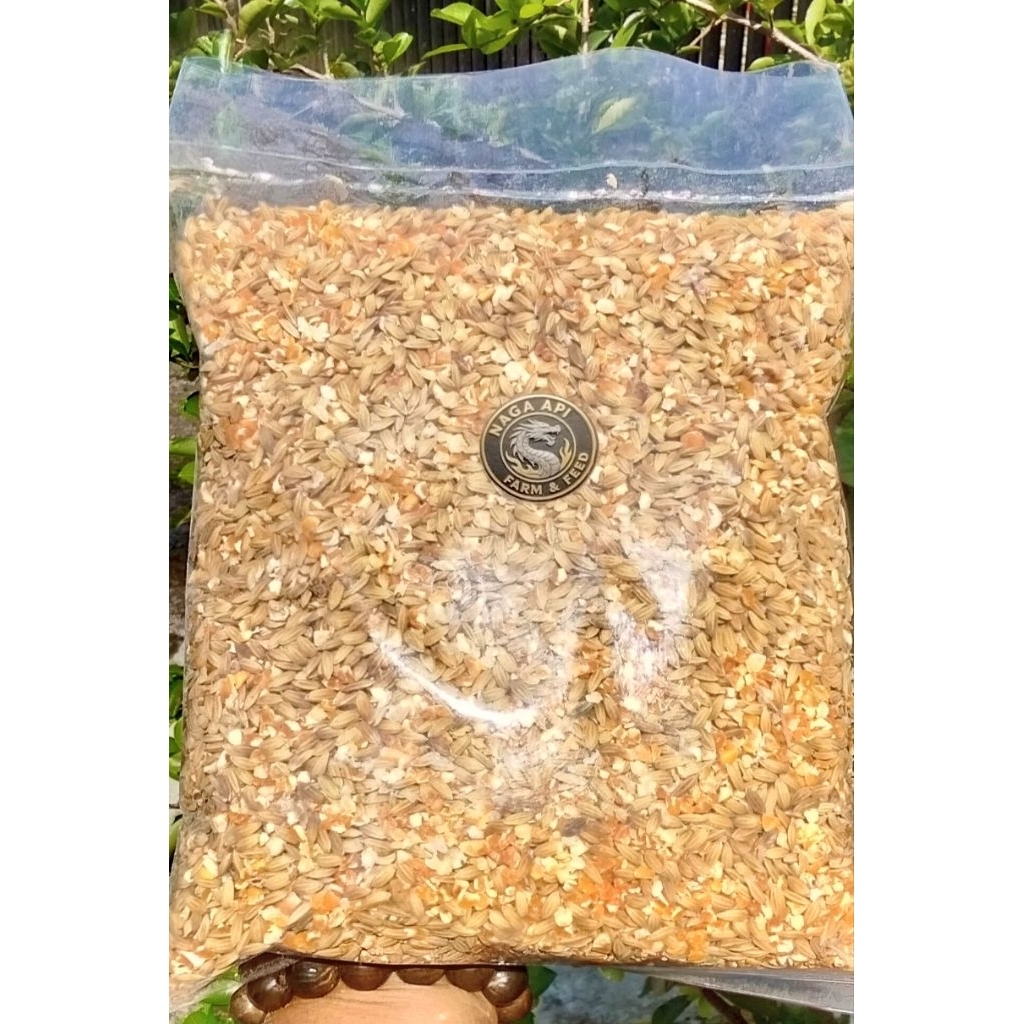 Jagung pecah + gabah putih/ayam Bangkok 1kg