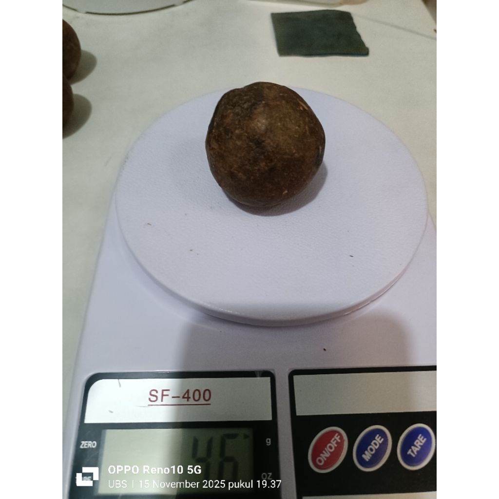 Porcupine stone/ Bezoar/ ho ti co /Geliga batu landak asli alami hitam