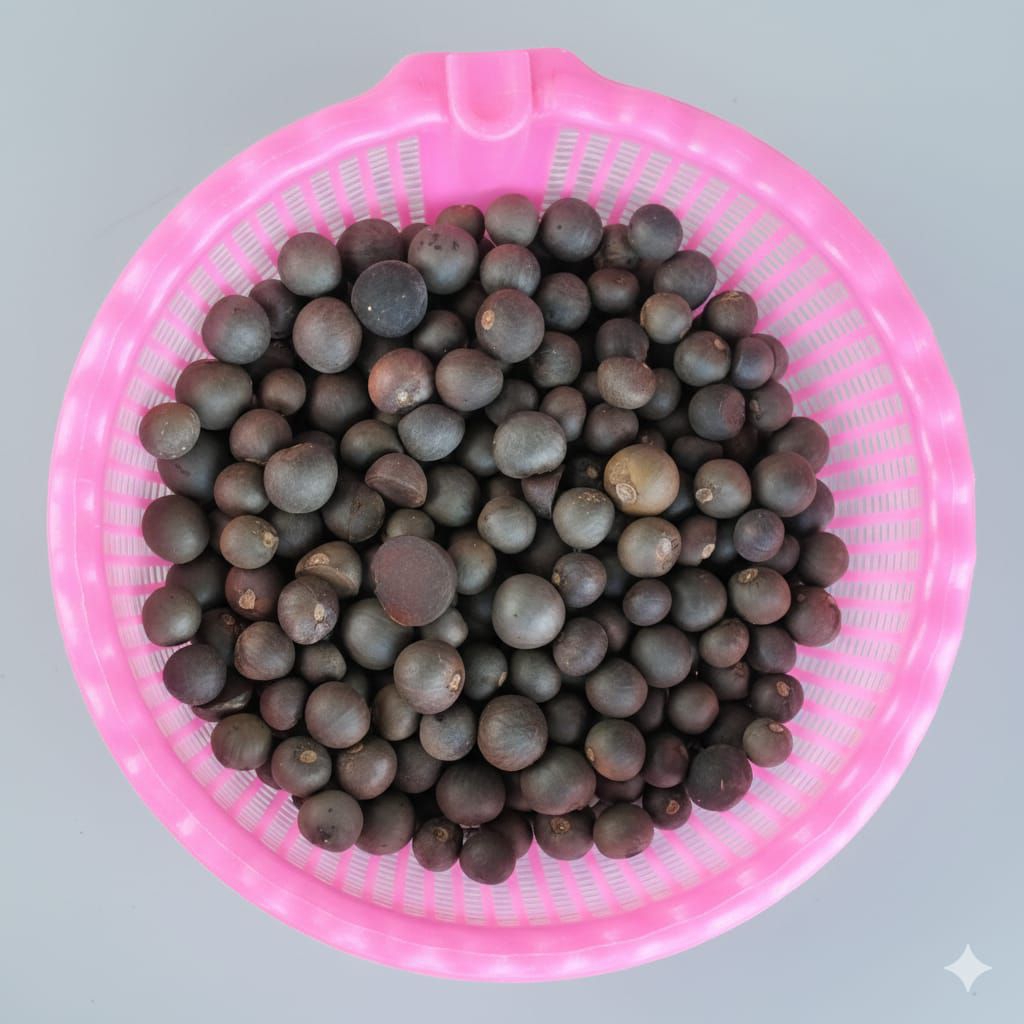 Biji Teh pilihan/bibit teh hijau kwalitas terbaik